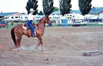 NFQHA Working Rancher 2002 Madras.